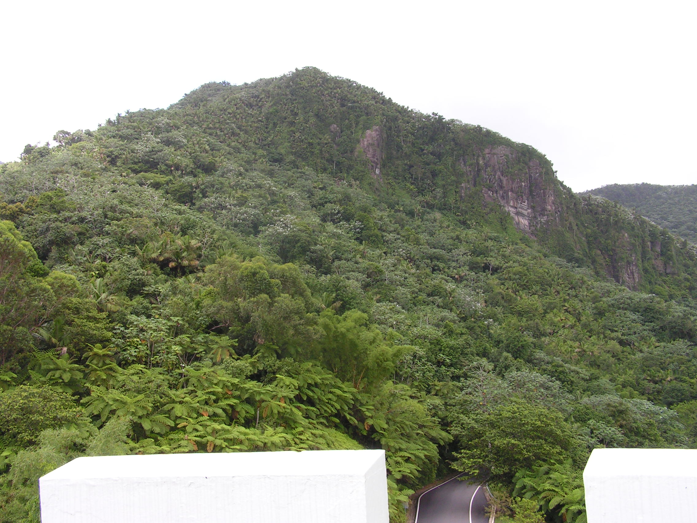 ./2005/Puerto Rico/Part 1/PICT0071.JPG